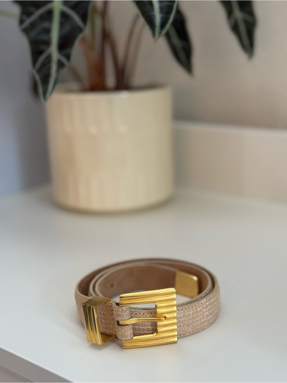 Carlisle Beige Textured Leather Belt with Gold-Tone Buckle